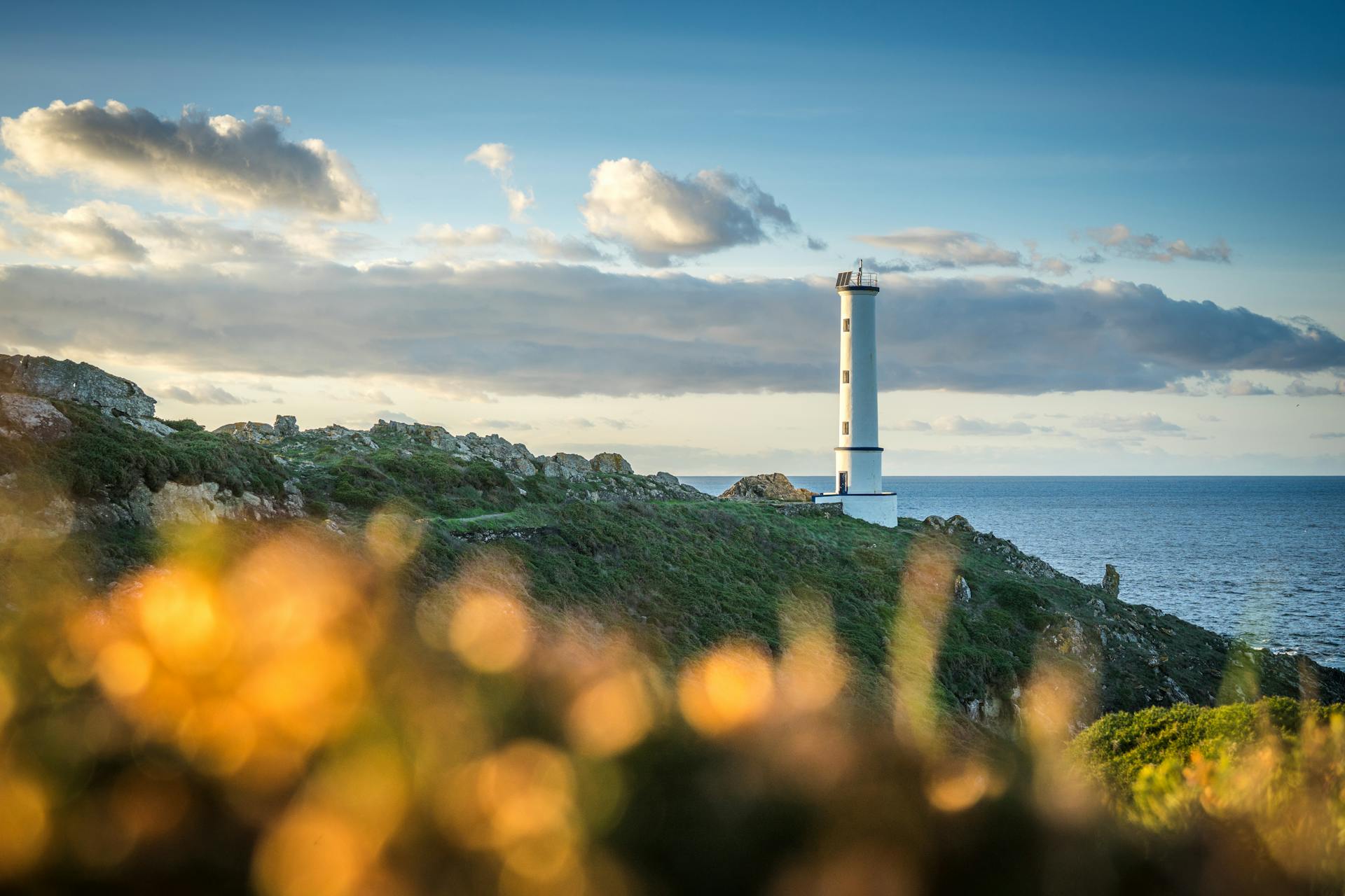 开源美图 2025 12 31