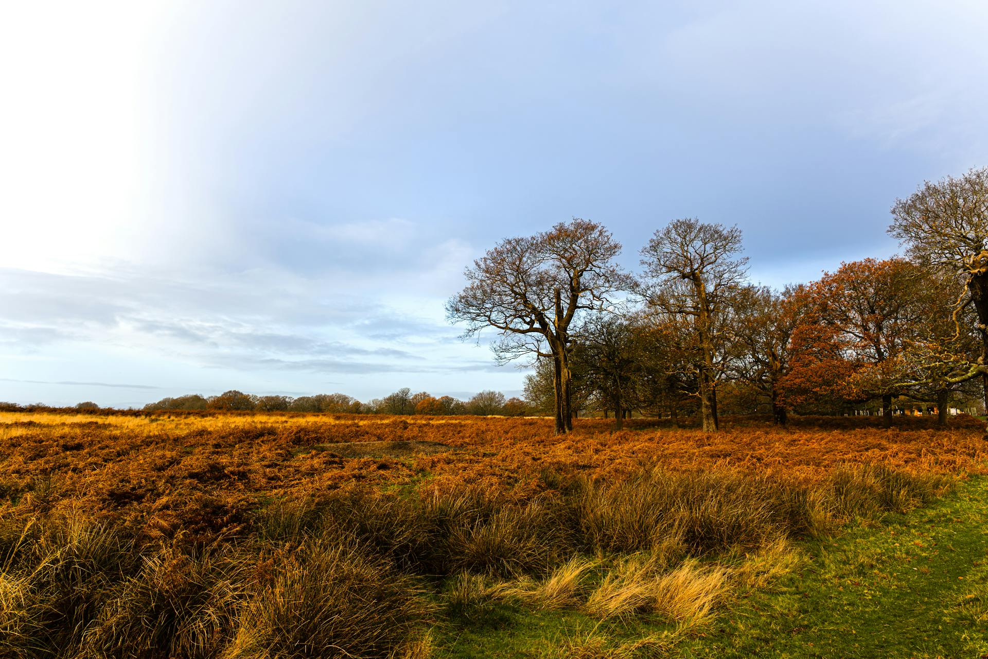 开源美图 2025 12 07