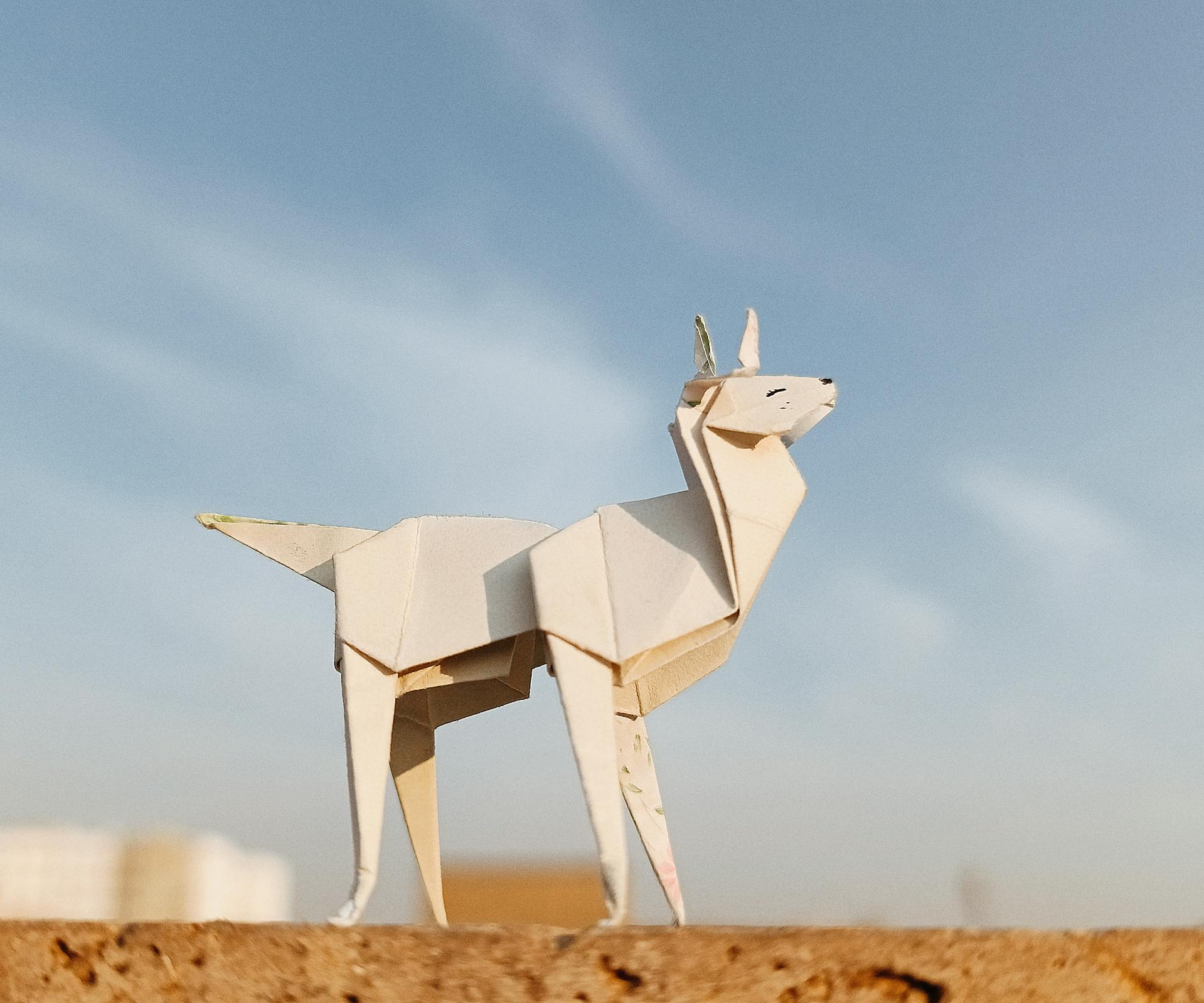 开源美图 2025 12 06