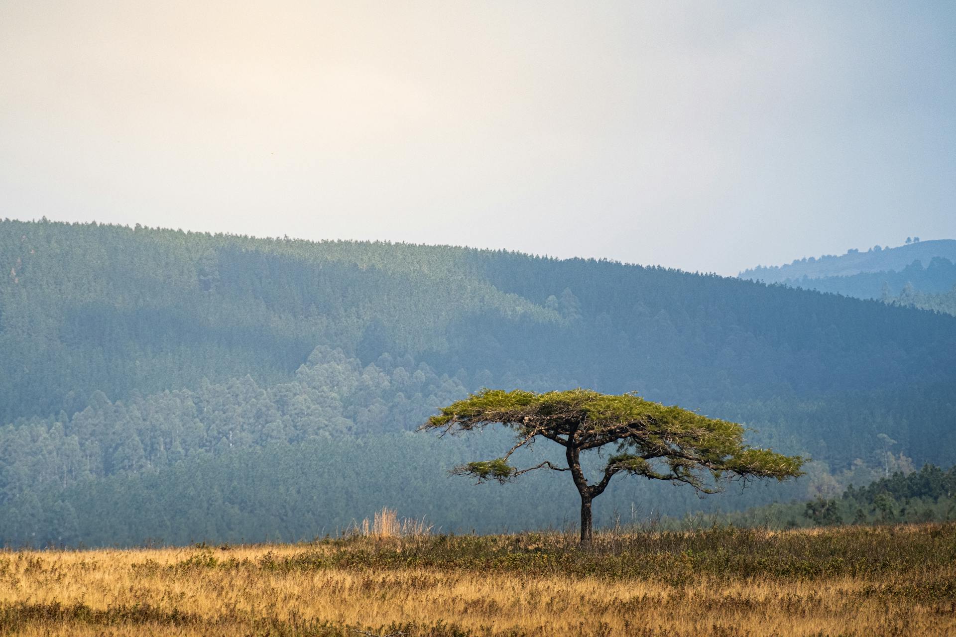 开源美图 2025 12 17
