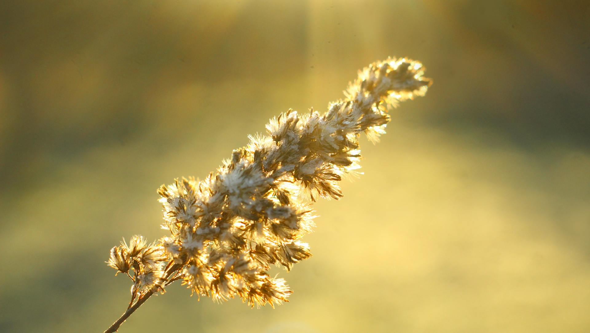 开源美图 2025 12 26