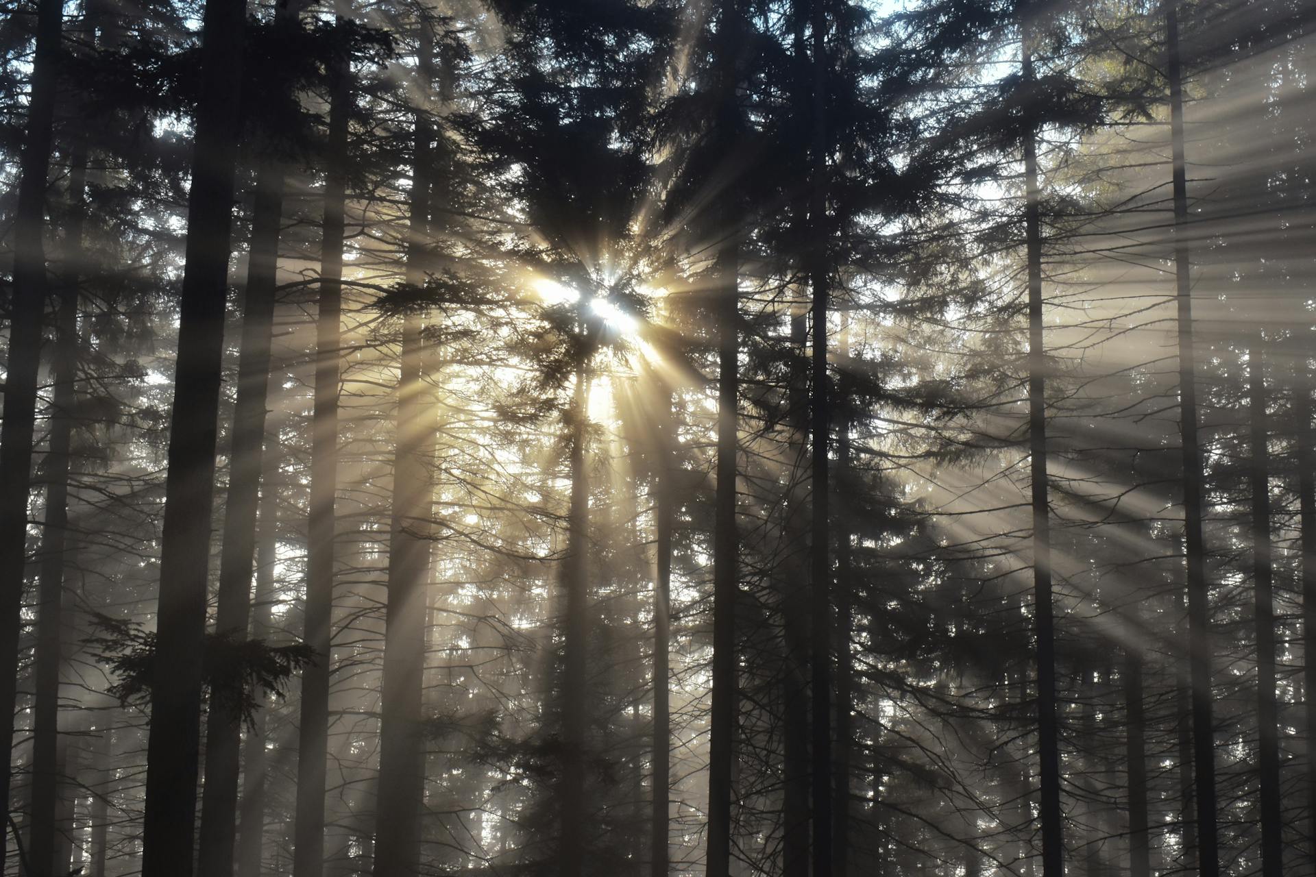 开源美图 2025 12 15