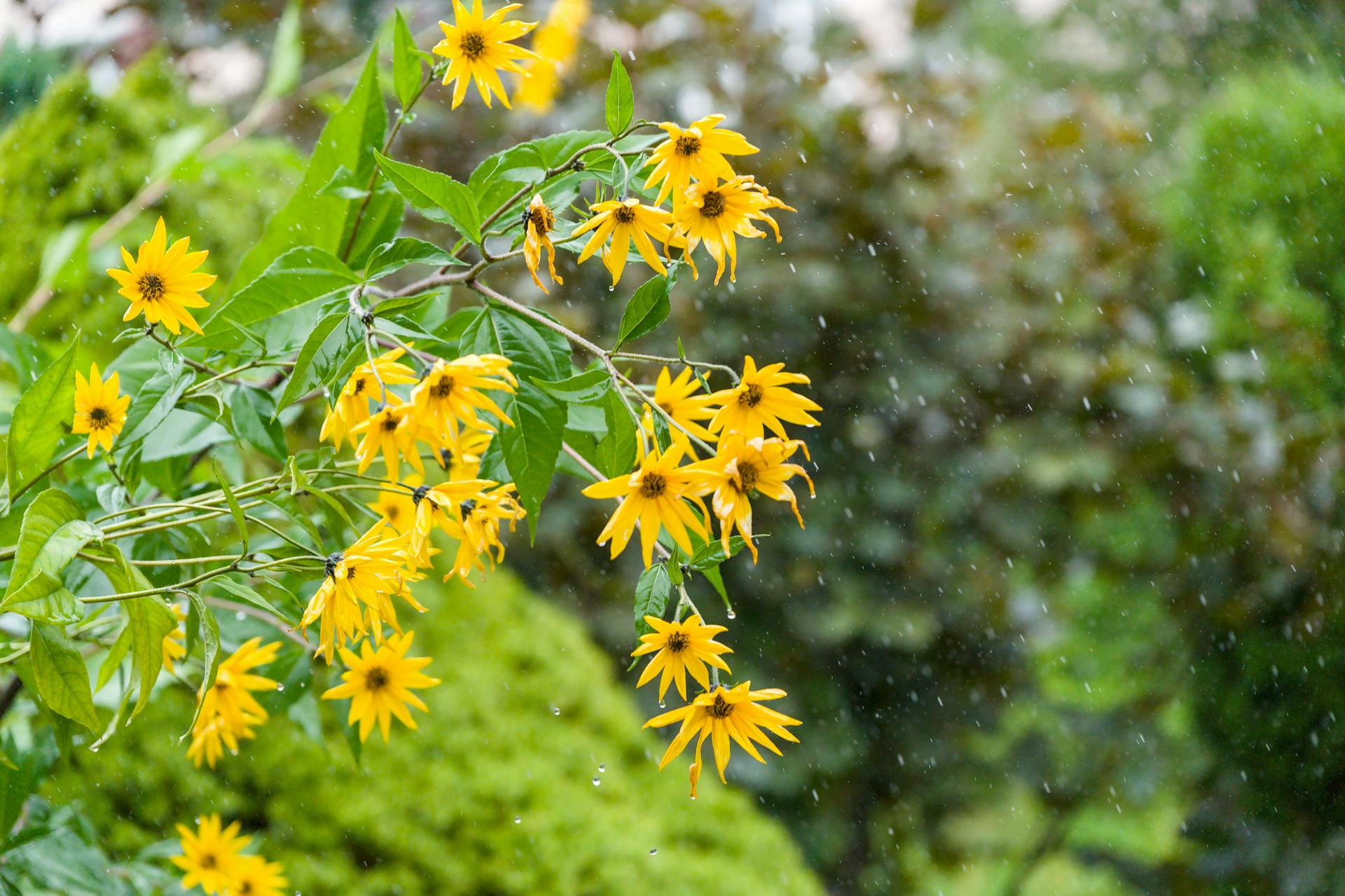 开源美图 2025 12 10