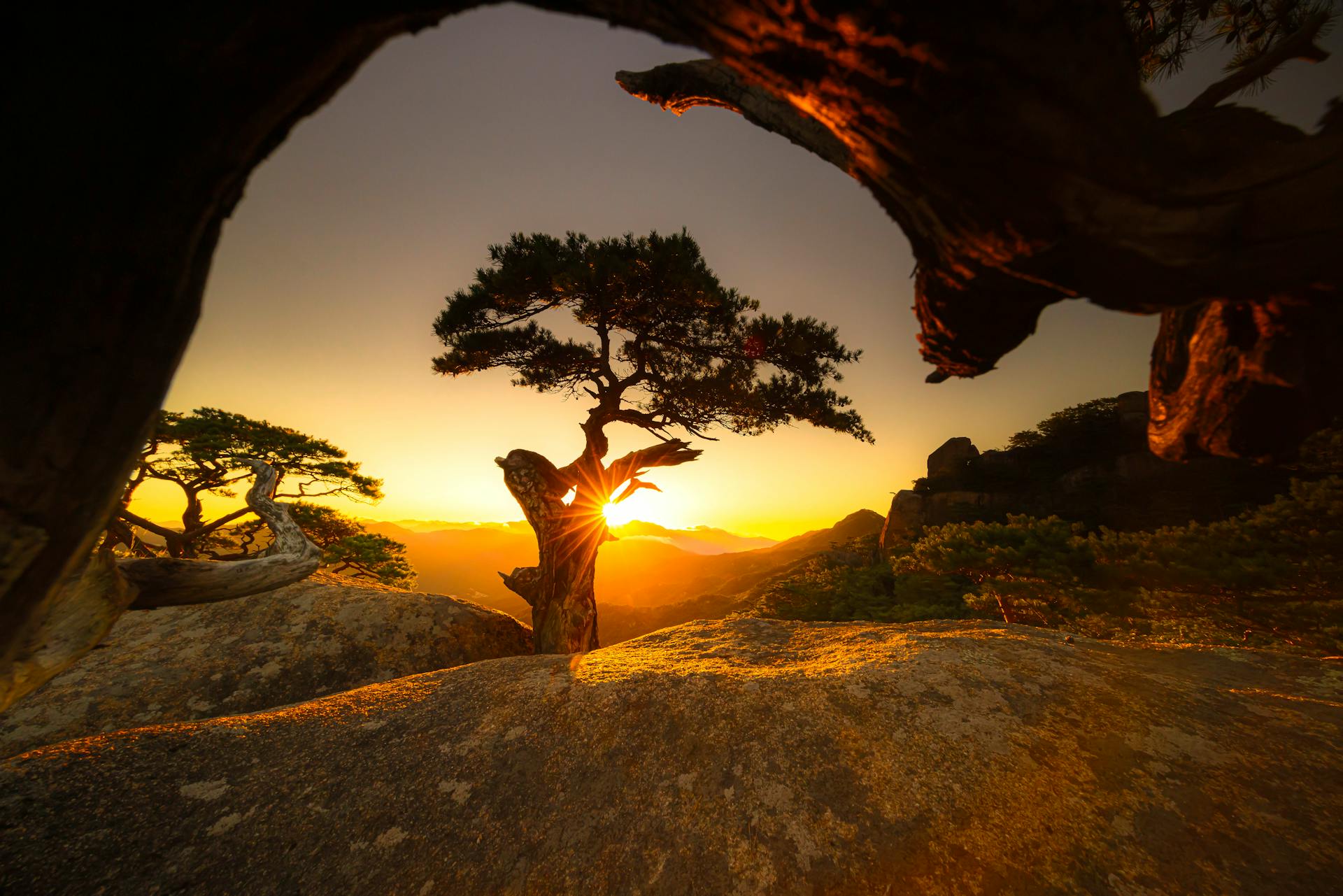 开源美图 2025 12 08