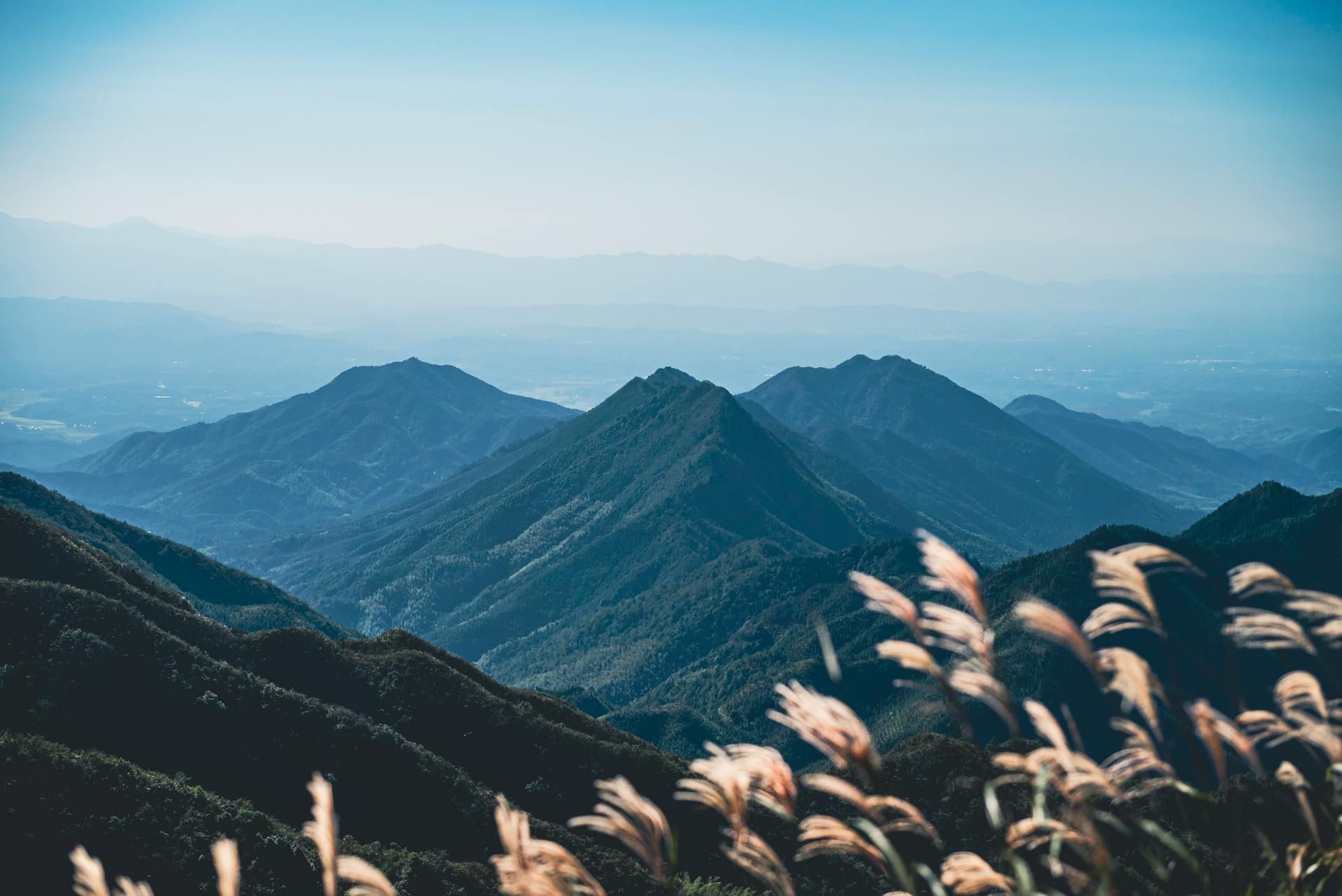 开源美图 2025 12 28