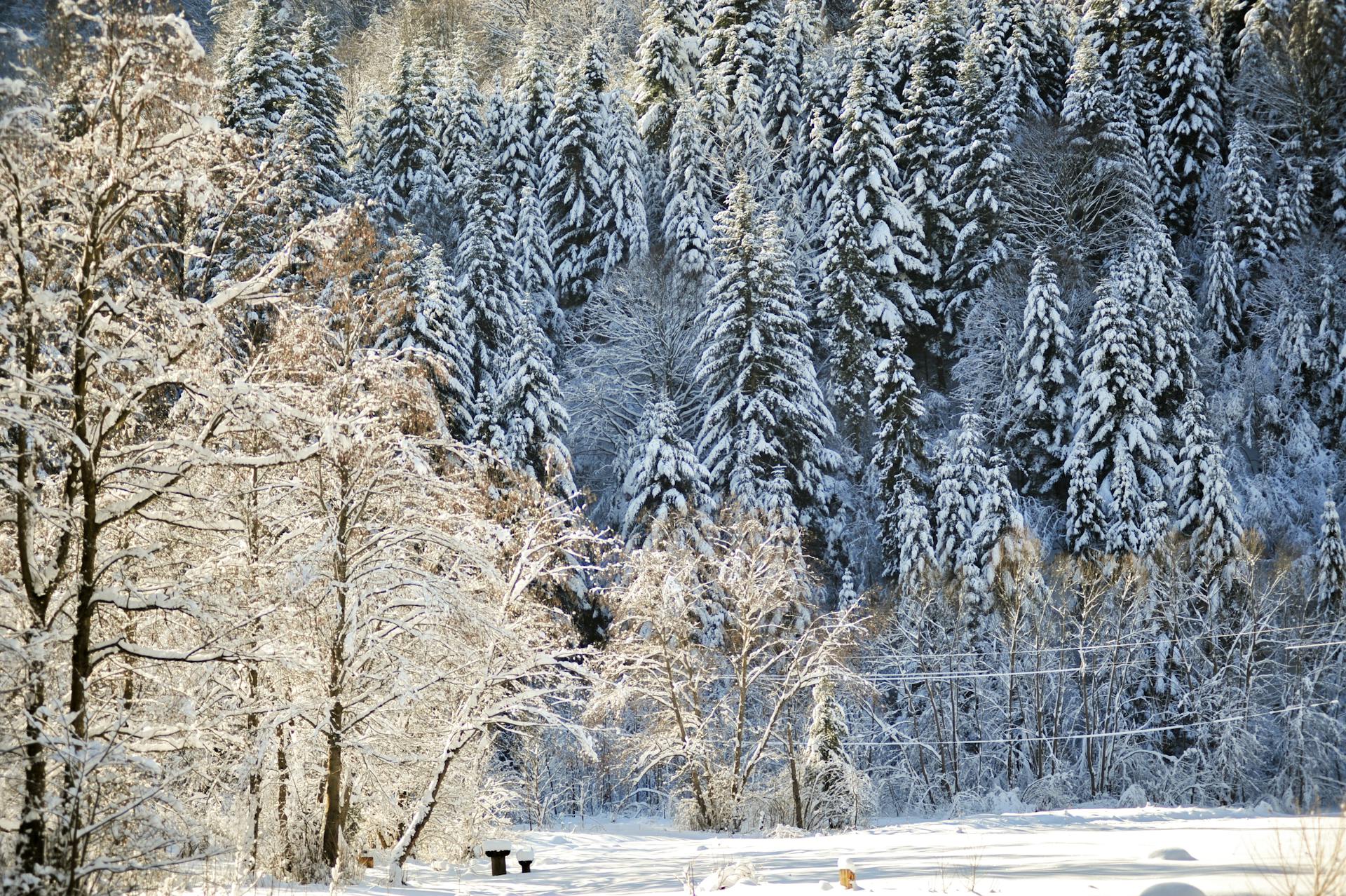 开源美图 2026 01 20