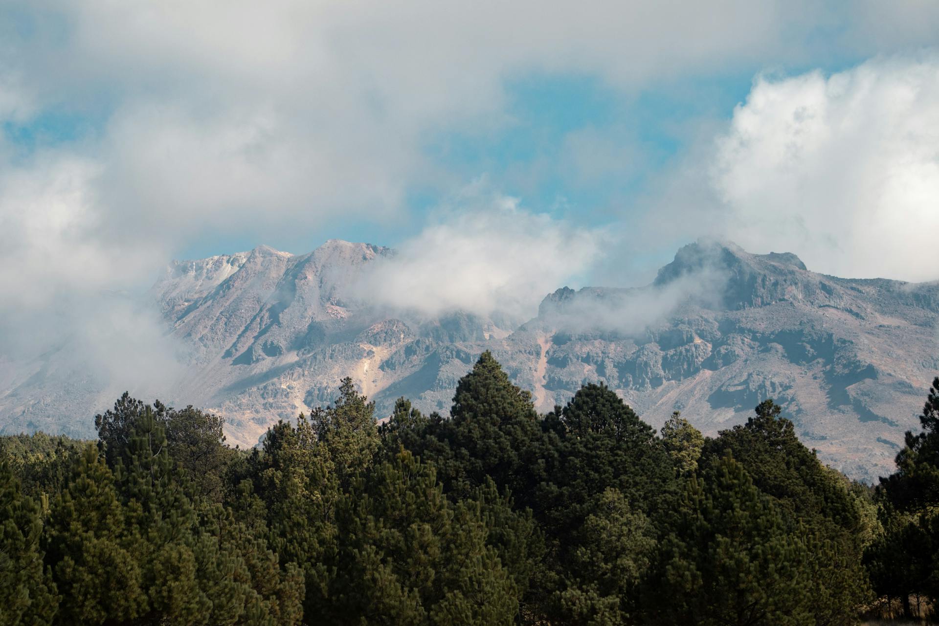 开源美图 2026 01 30