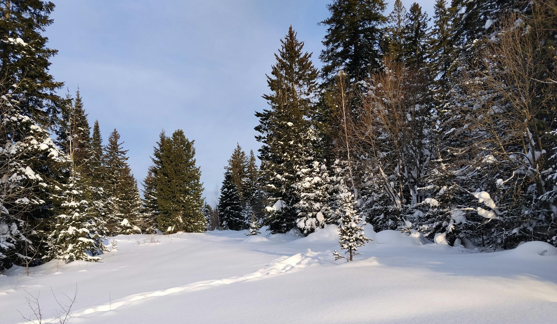 开源美图 2026 01 01