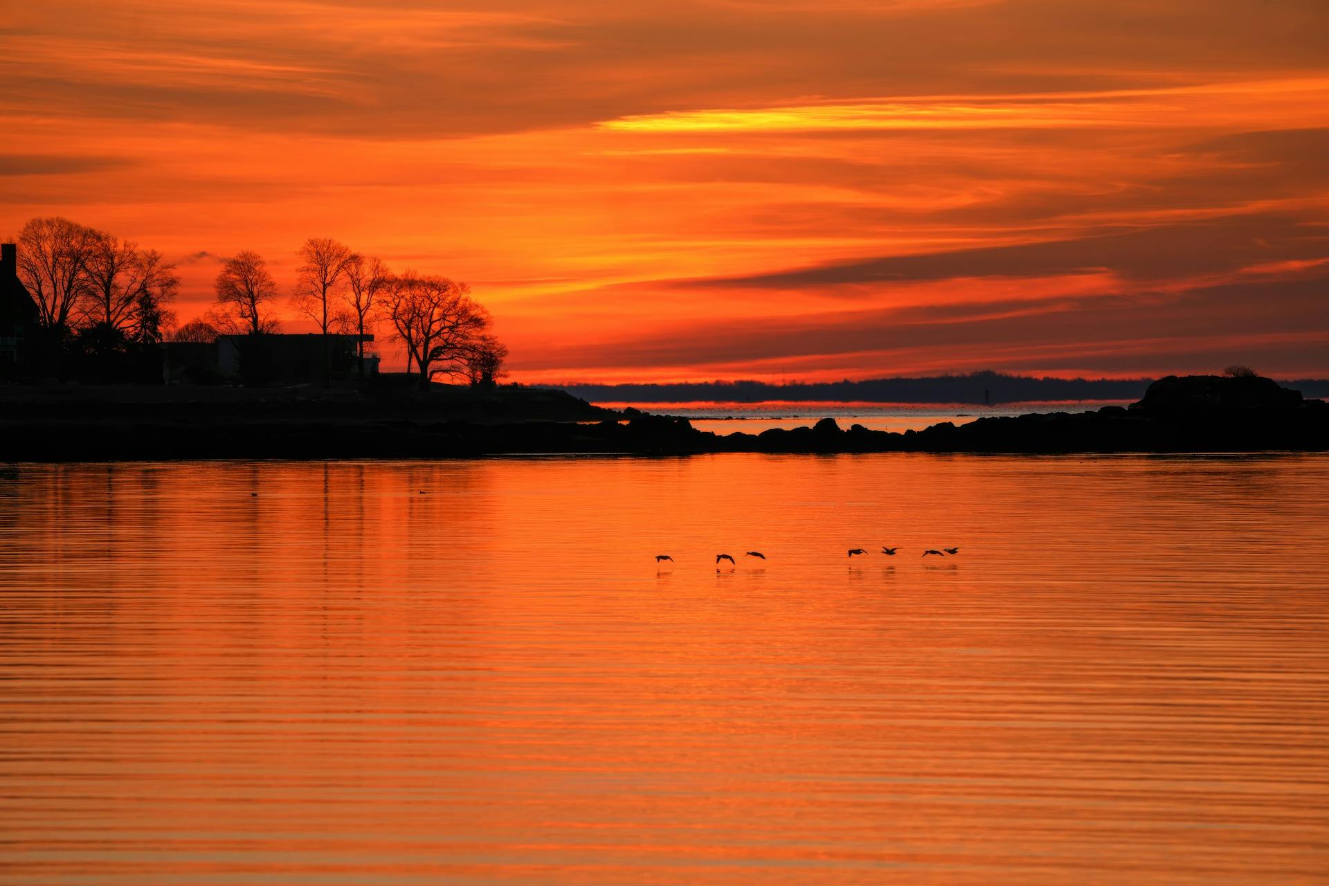 开源美图 2026 01 06