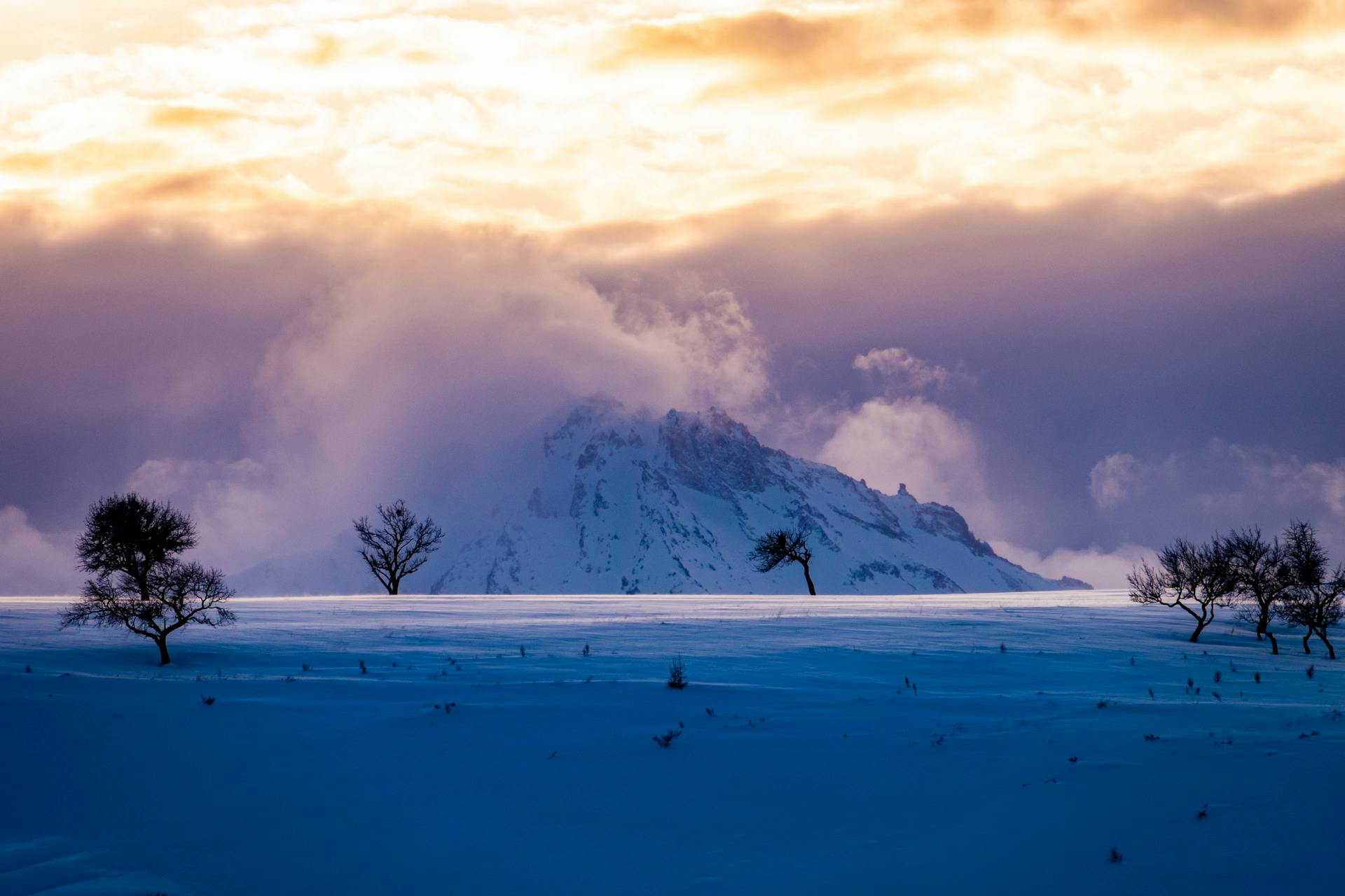 开源美图 2026 01 24