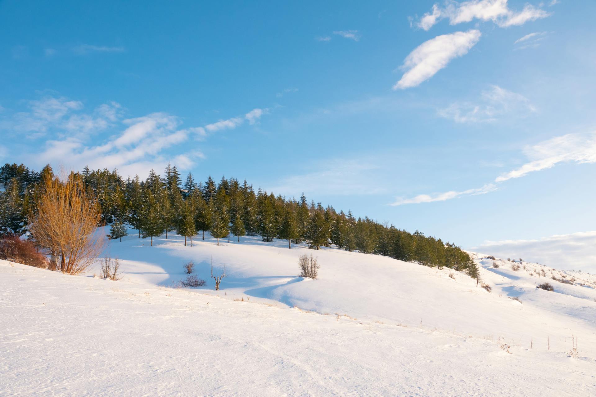 开源美图 2026 01 25