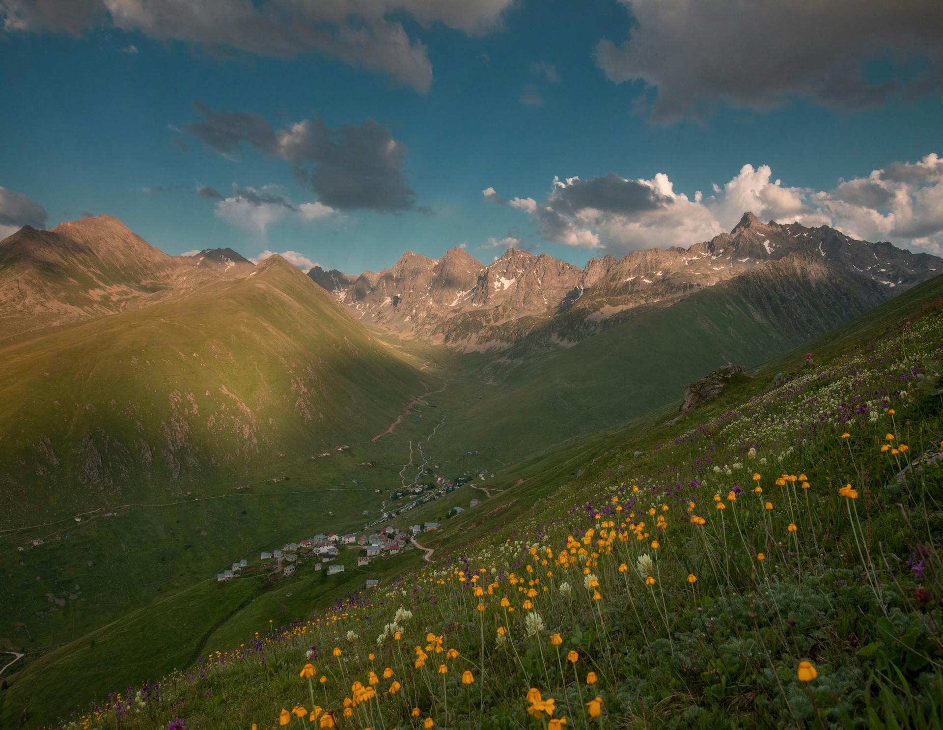 开源美图 2026 01 19