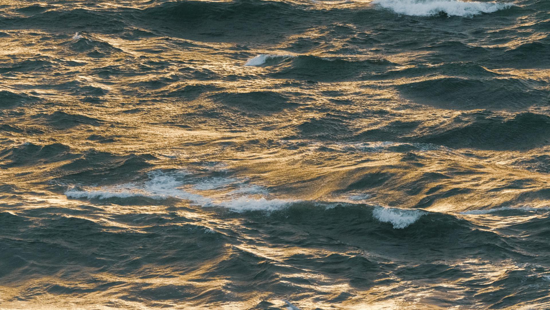 开源美图 2026 01 17