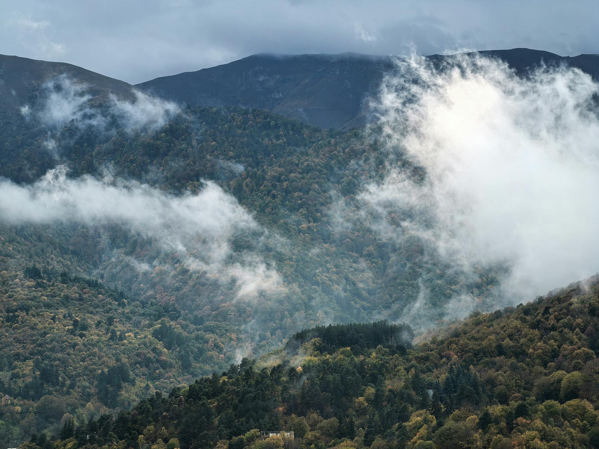 开源美图 2026 01 28