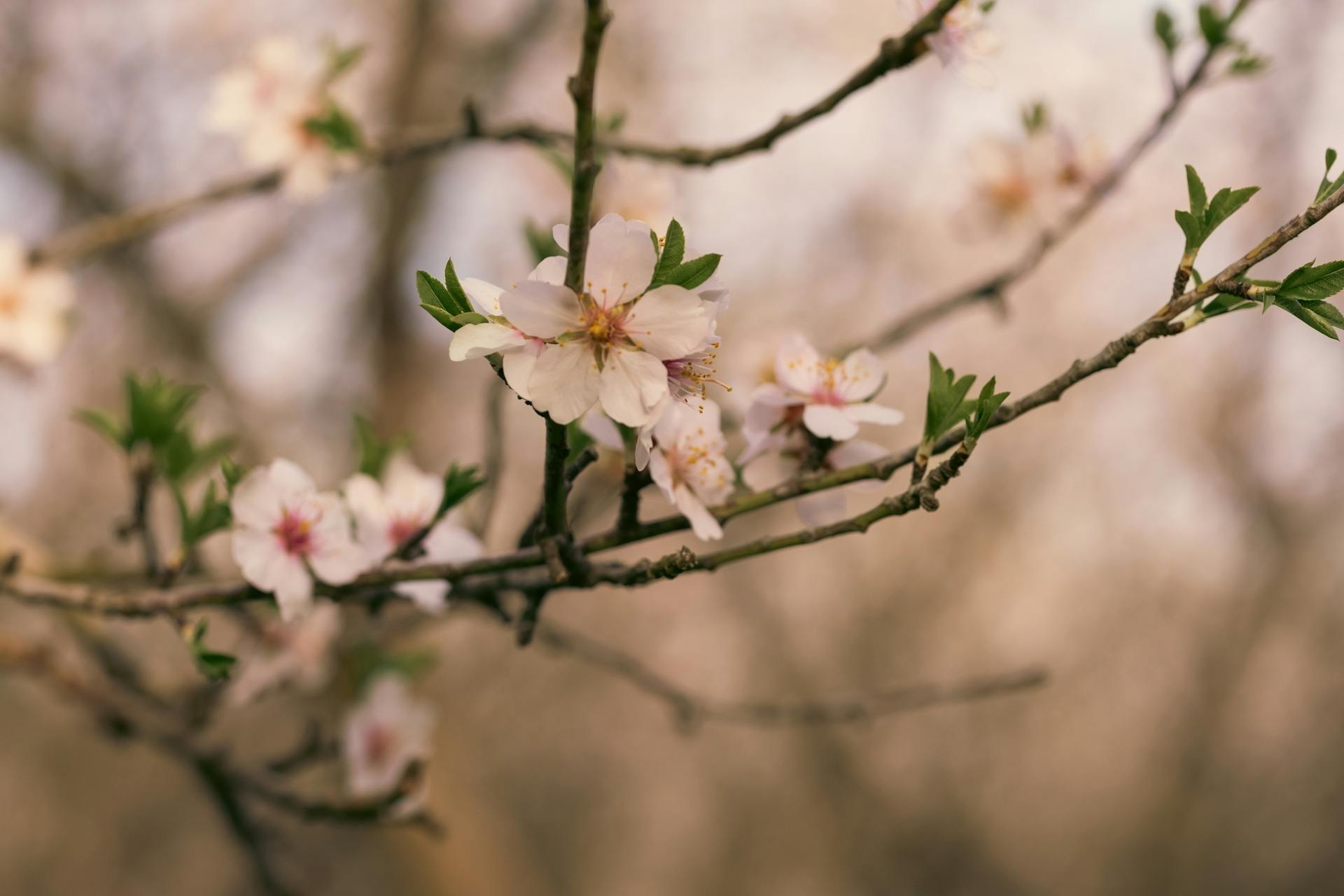 开源美图 2026 02 26