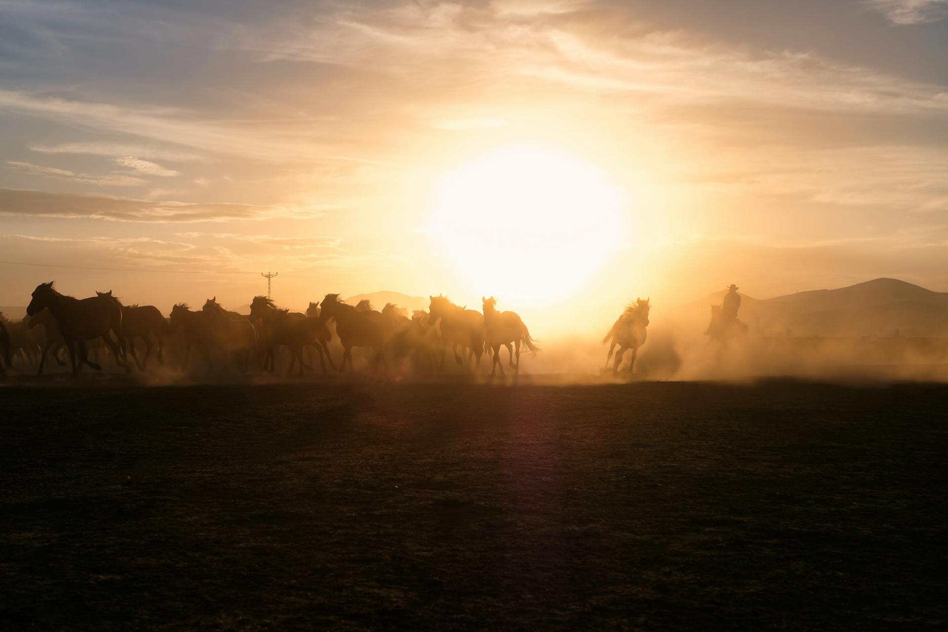 开源美图 2026 02 02