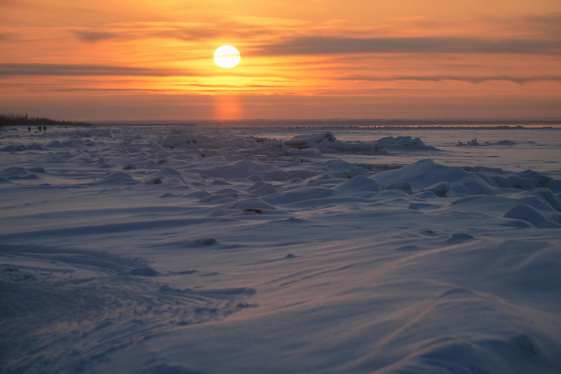 开源美图 2026 02 04