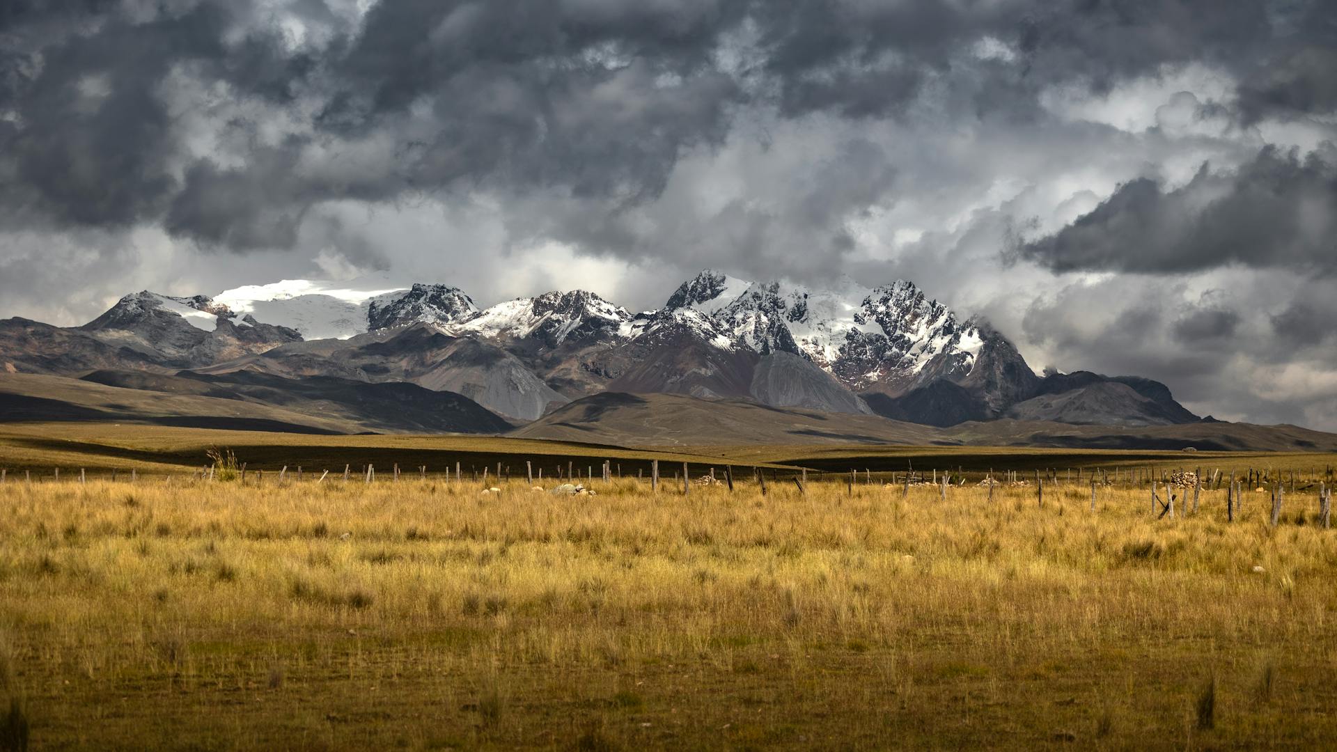 开源美图 2026 02 08