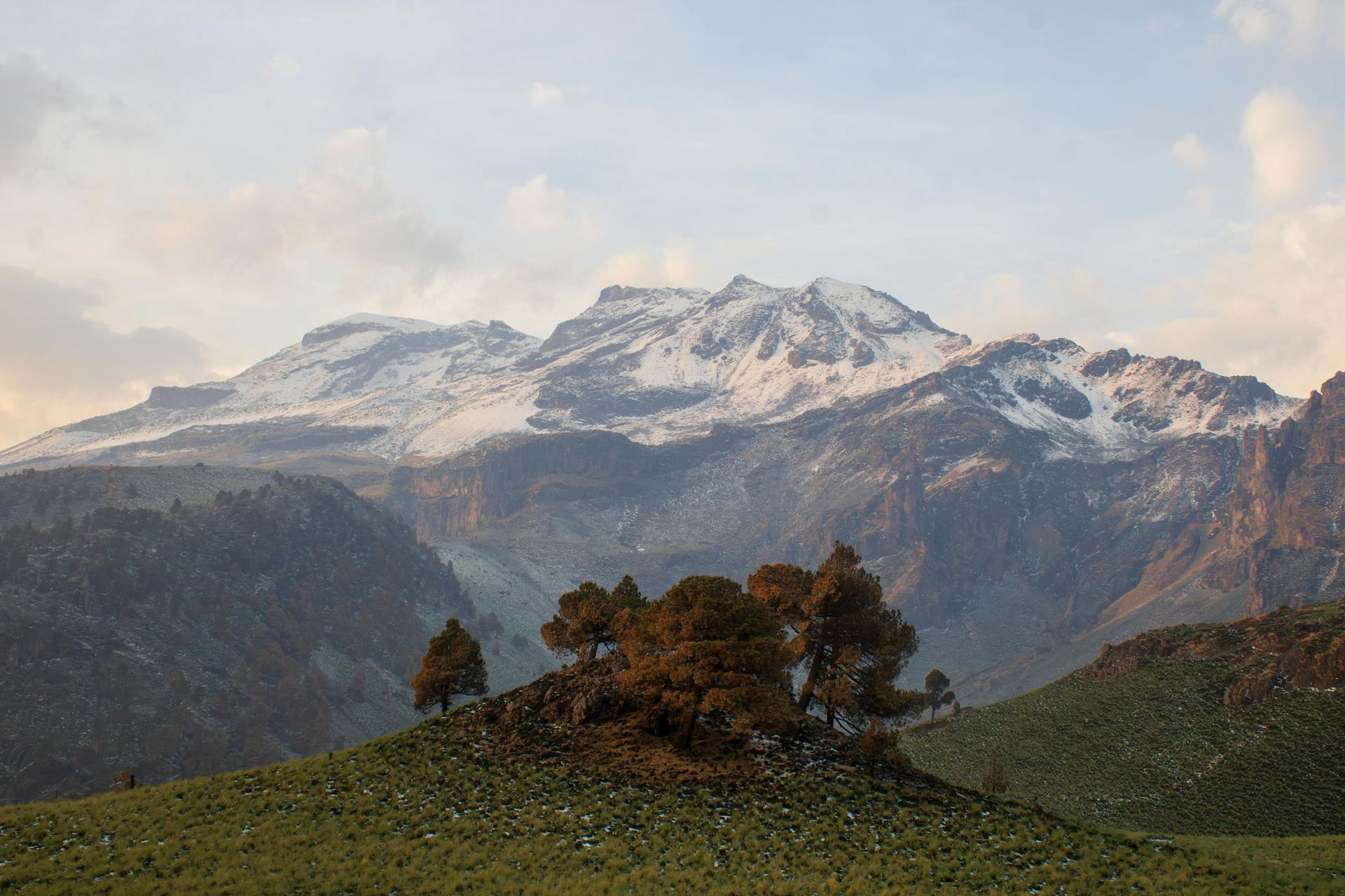 开源美图 2026 02 03