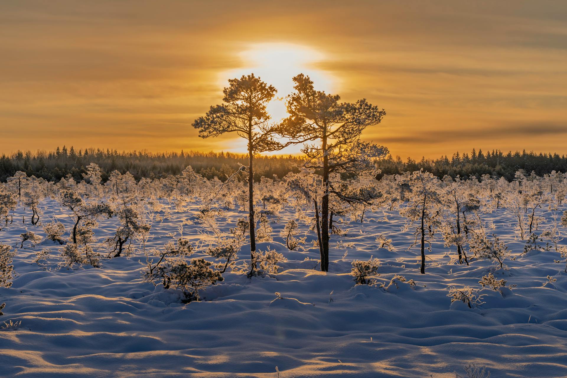 开源美图 2026 02 17