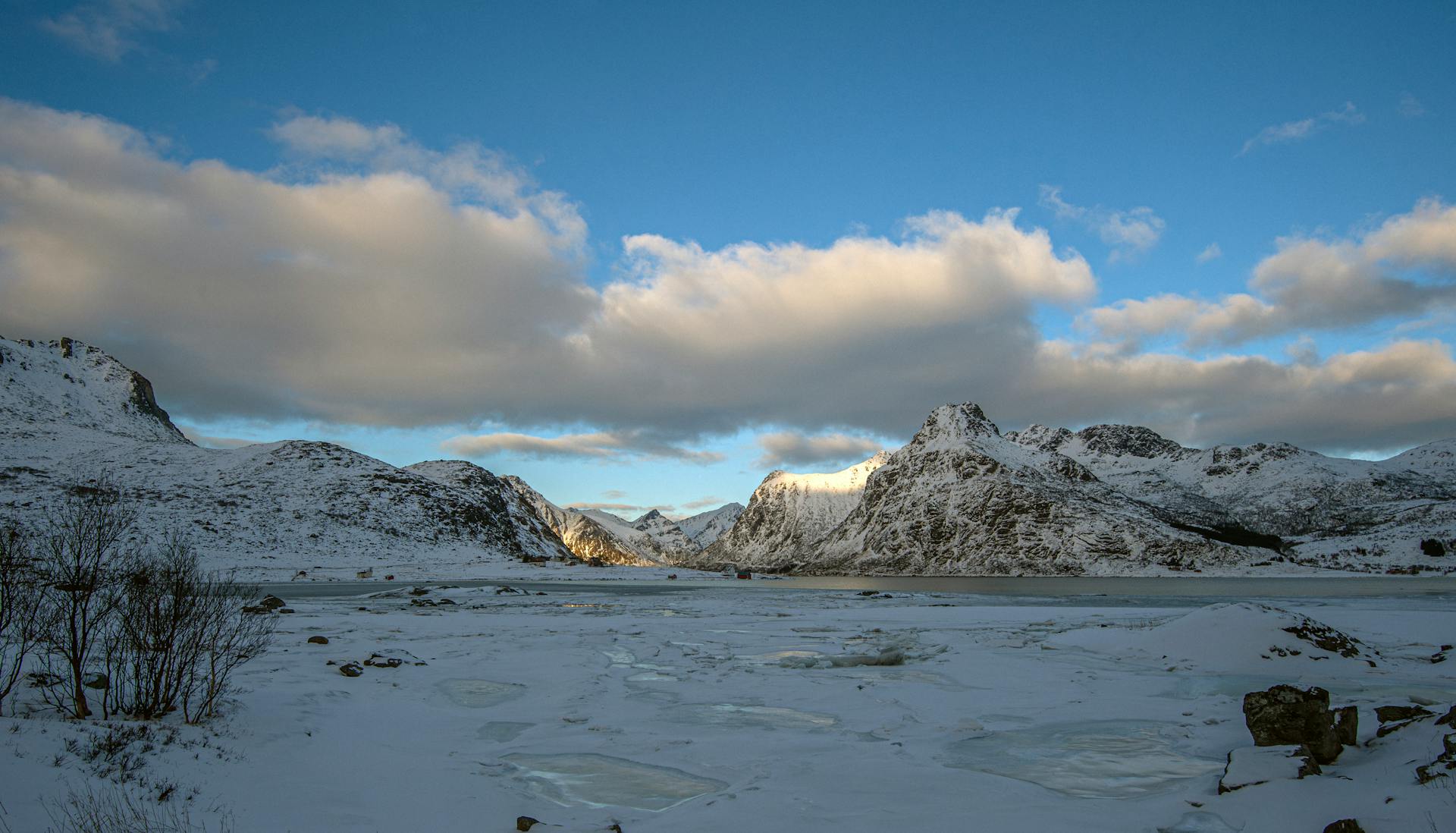 开源美图 2026 02 18