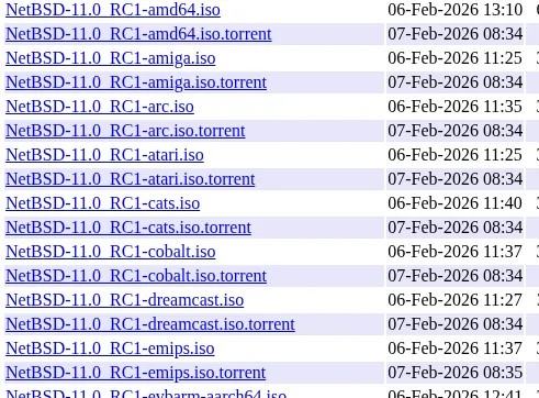 NetBSD 11.0-RC1 可用于增强 Linux 模拟测试
