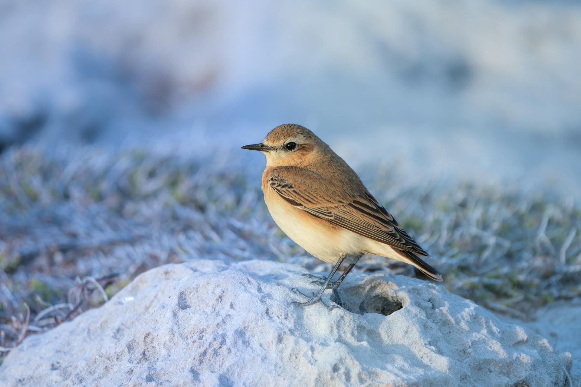 开源美图 2026 03 02