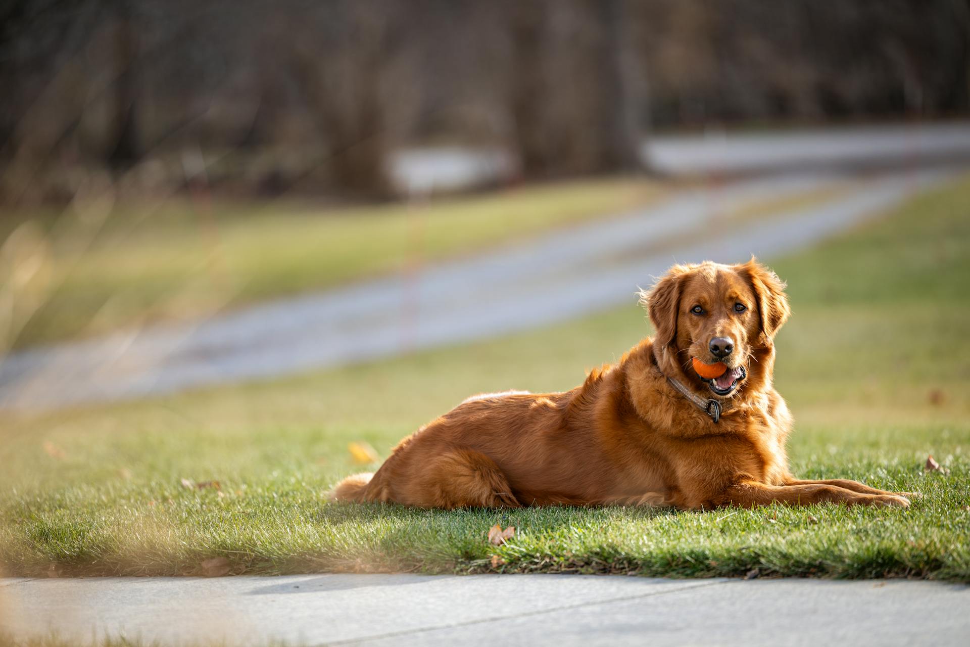 开源美图 2026 03 04