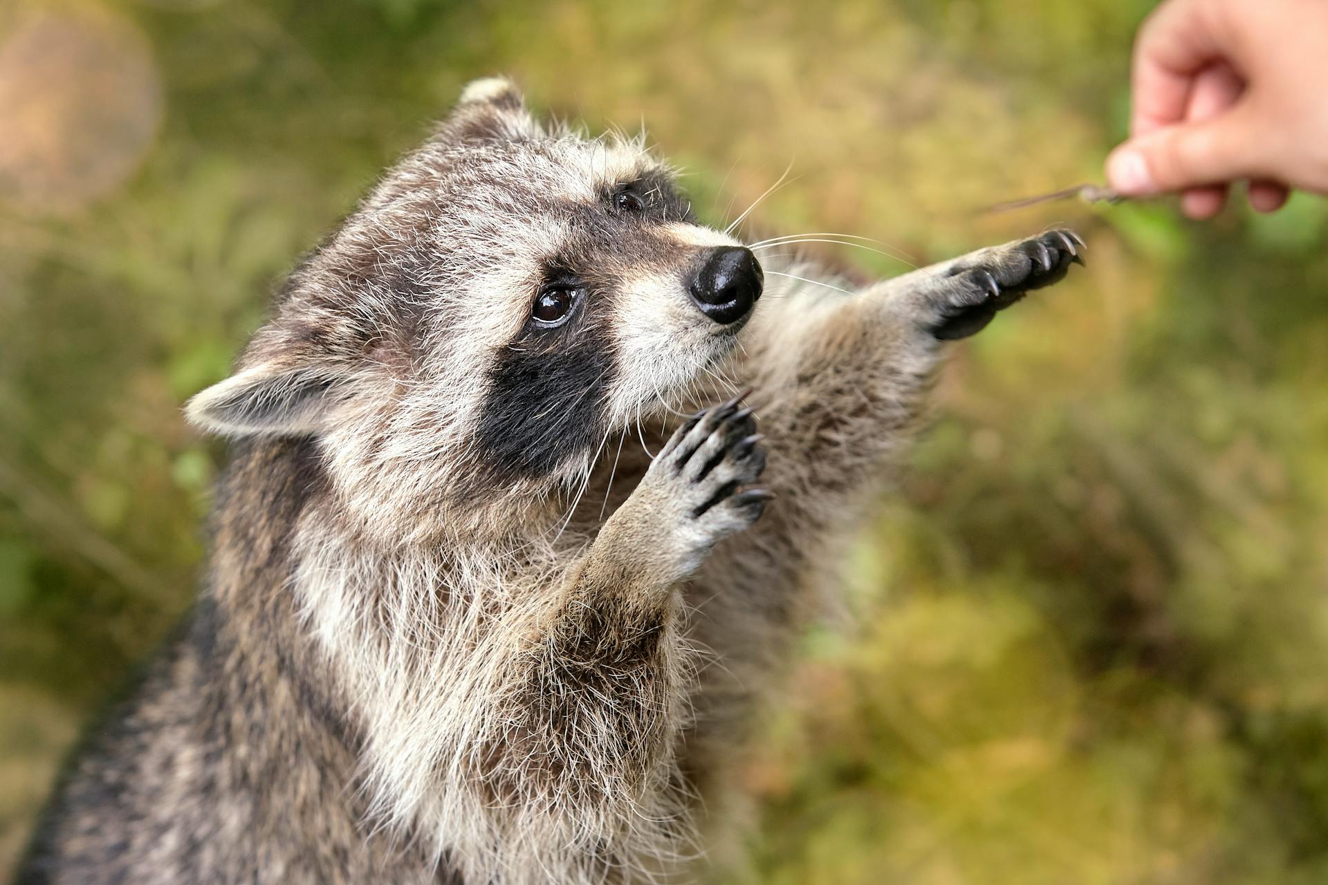 开源美图 2026 03 10