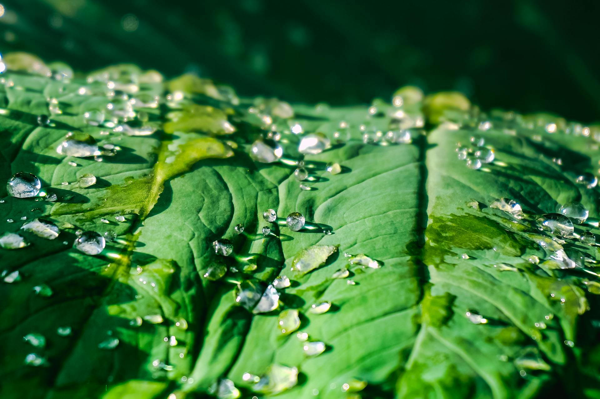 开源美图 2026 03 01