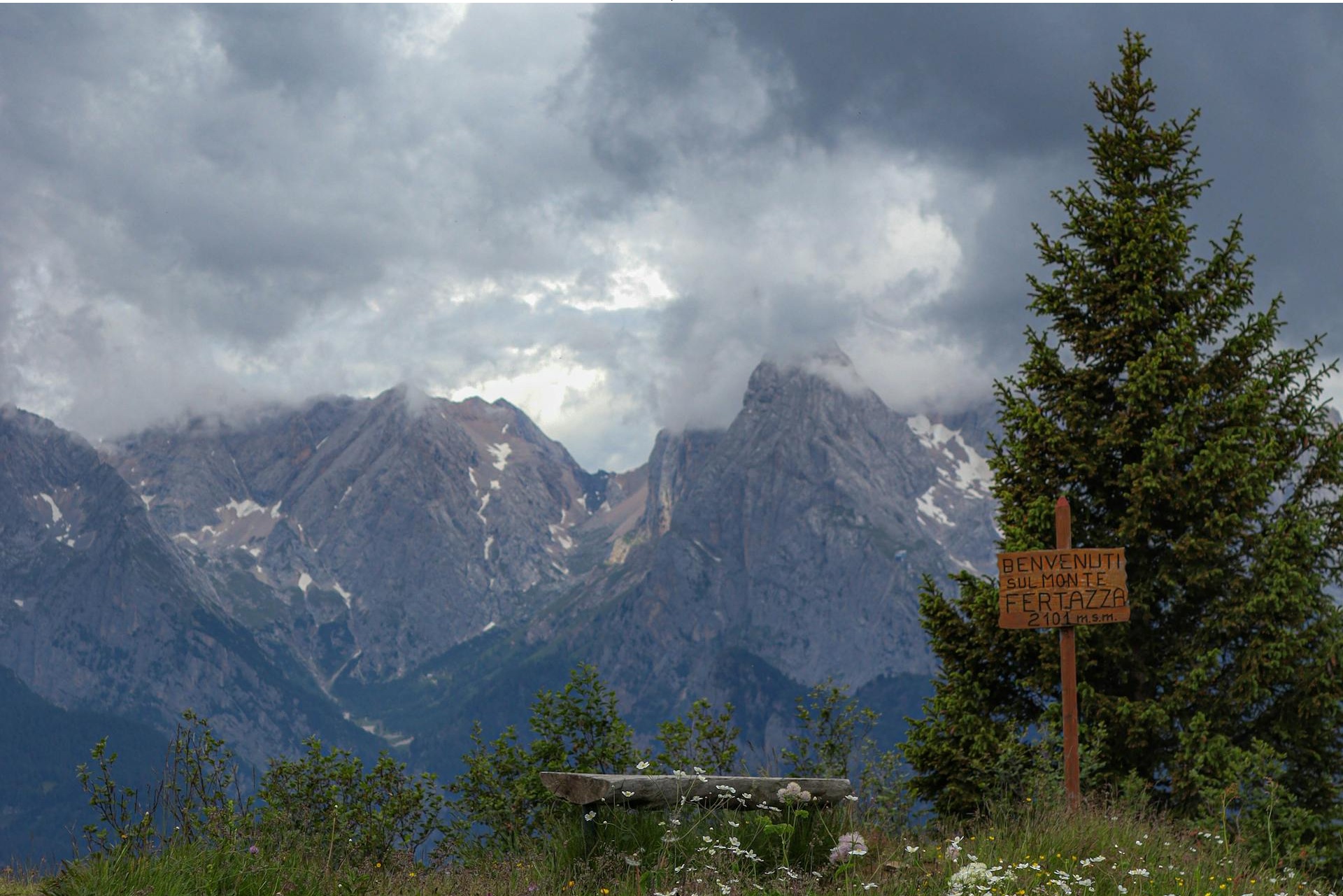 开源美图 2026 03 08