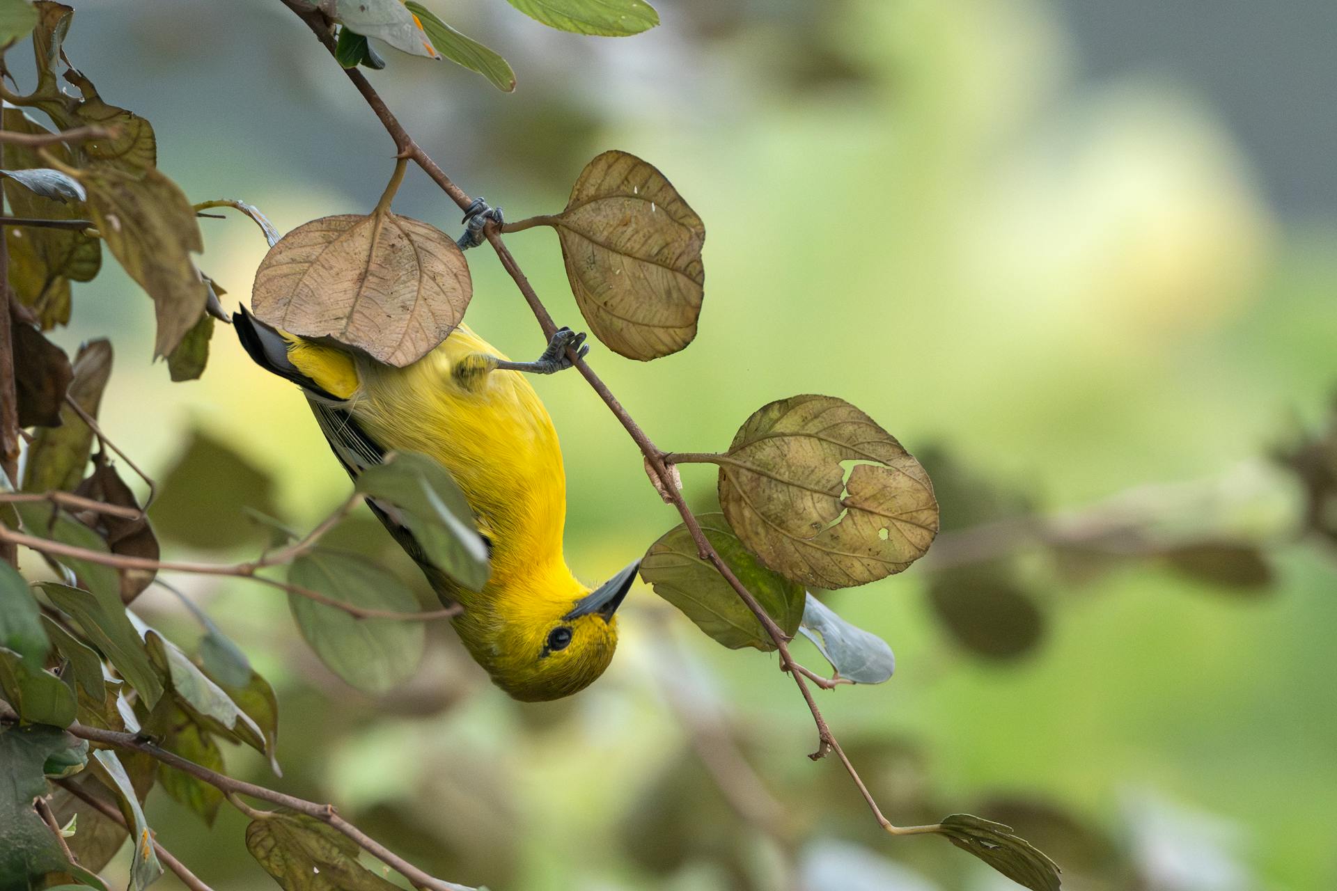 开源美图 2026 03 07