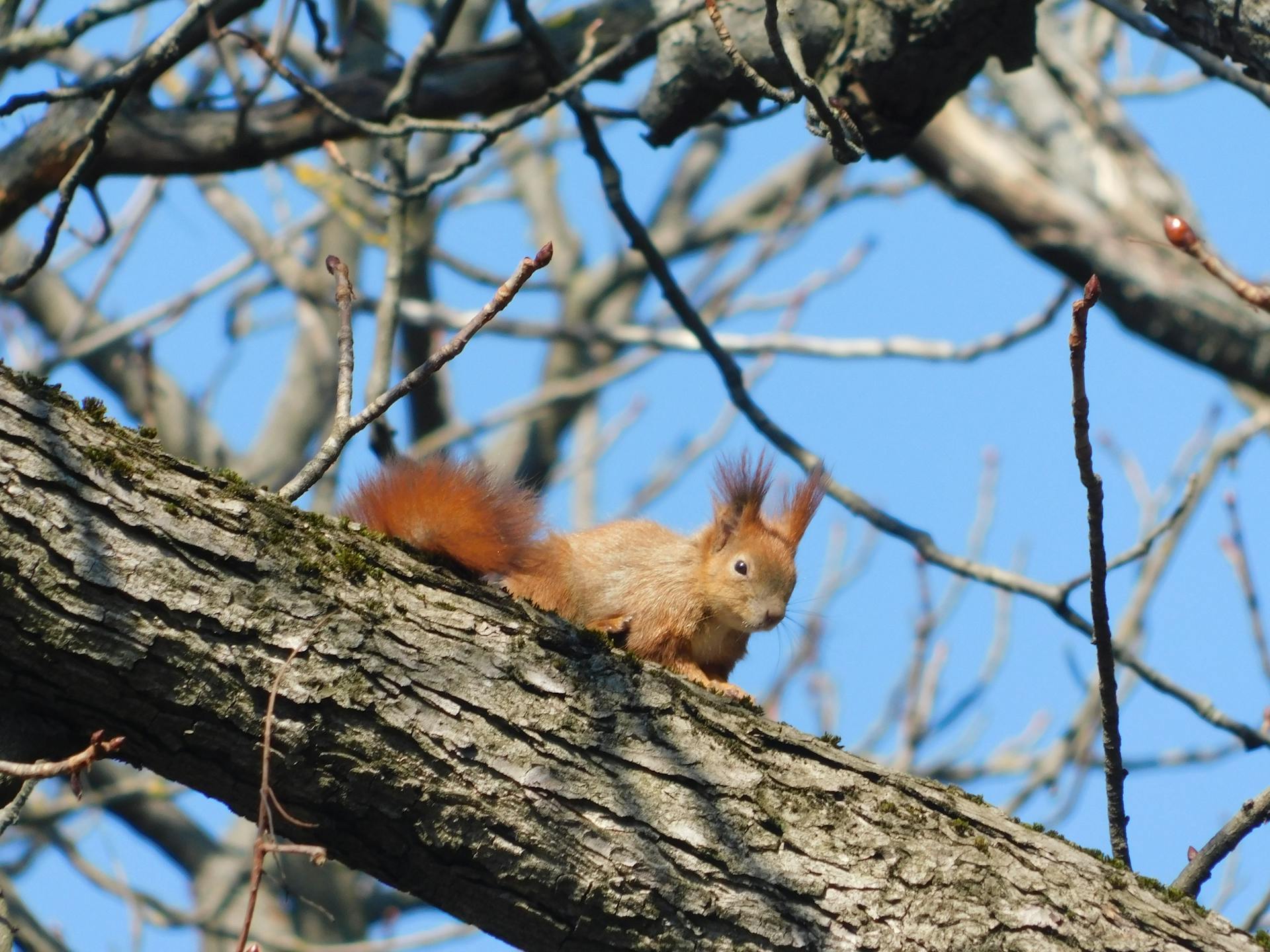 开源美图 2026 03 06