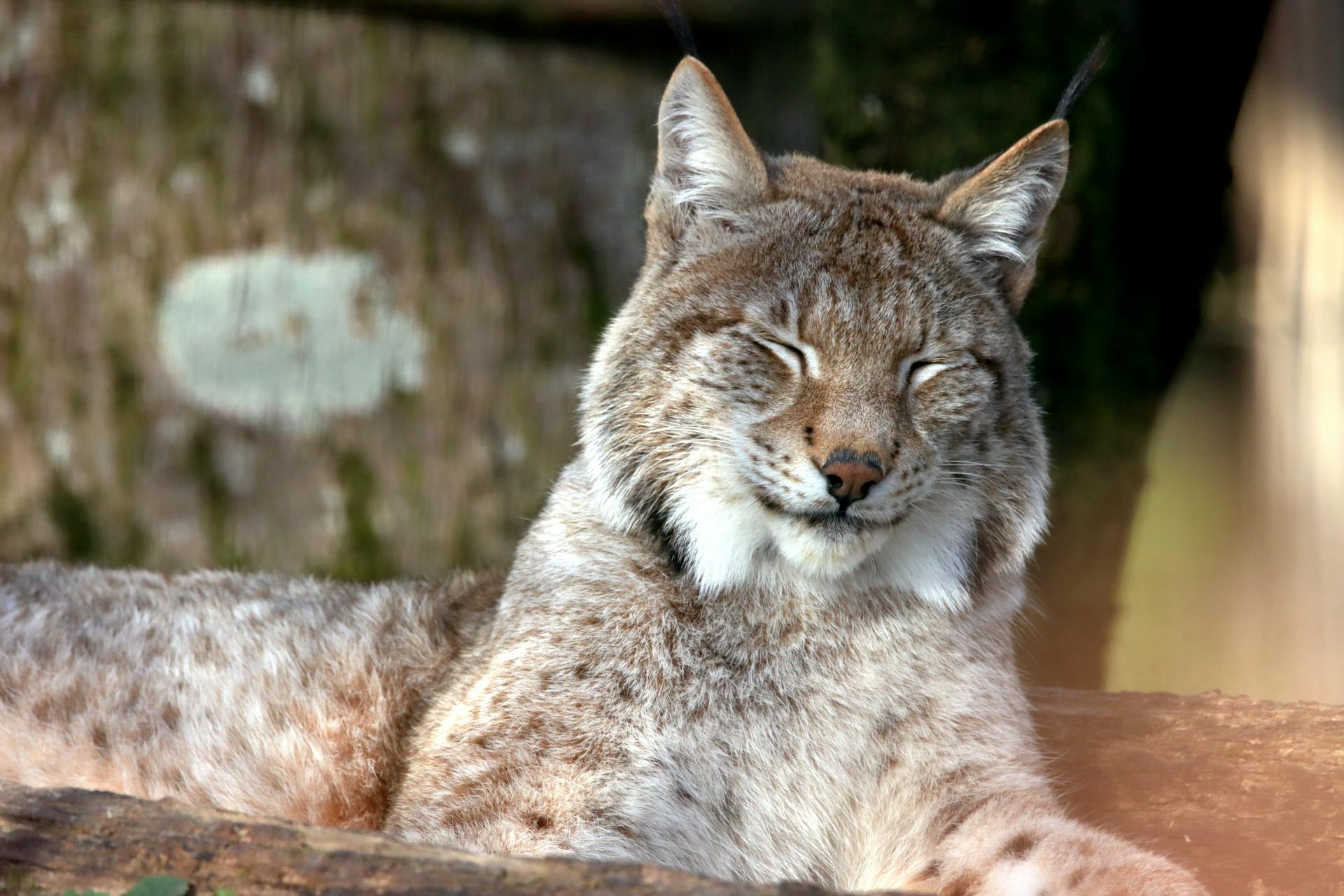 开源美图 2026 03 12